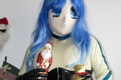 Asuka Akira Kig Indoor