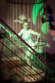 die Poledance-Tänzerin im Käfig
