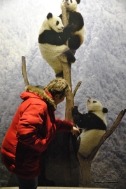 der Berg ruft - Gasometer Oberhausen