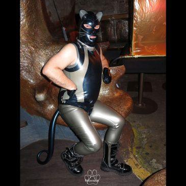 Die Bar Bizarre Koblenz 2016 – wohltuend anders als 2015