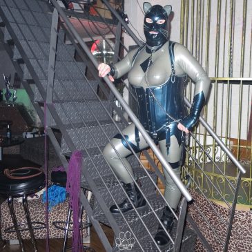 Rubbers Best, Dance & Talk und eine tolle WG drum rum